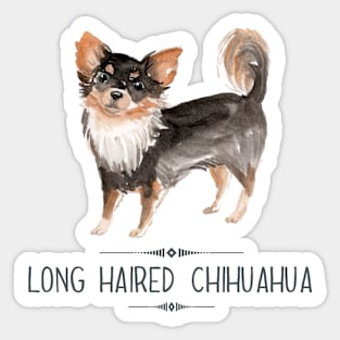 Long haired Chihuahua Sticker